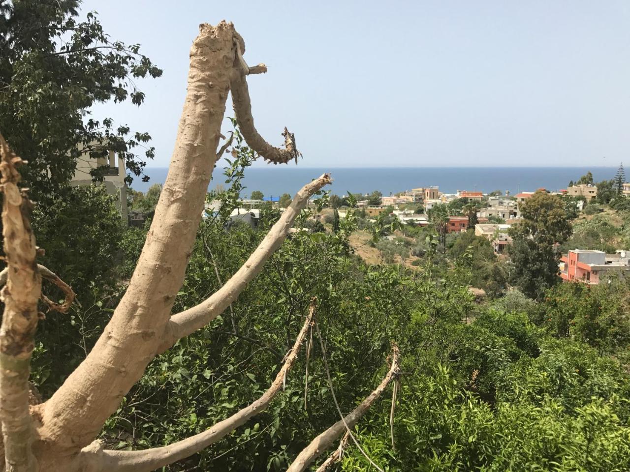 Luna Motel Naqoura Exteriör bild